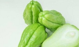 吃葫芦瓜用焯水吗视频大全