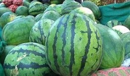 怎么找到吃瓜视频的人呢,如何精准锁定热衷吃瓜视频的观众群体