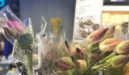 买花吃瓜视频素材下载网站,轻松下载海量资源