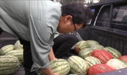 群众快乐吃瓜视频大全