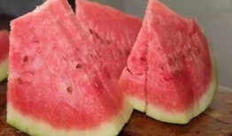 石头剪布吃瓜视频,趣味互动，欢乐无限