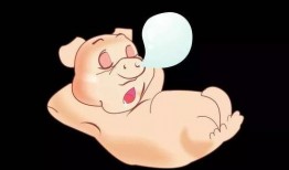 吃瓜主播小胖猪视频下载,视频下载攻略大公开