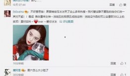 吃瓜录视频成证据,见证真相的视听证据