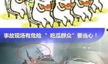 辽宁吃瓜事件视频播放,视频播放背后的热议与反思