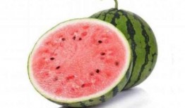 日韩人吃麒麟瓜视频,麒麟瓜美味大揭秘