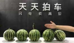 八卦吃瓜赣州话视频