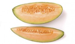 旅游女子吃蜜瓜视频下载,女子旅游视频中的甜蜜瞬间下载分享