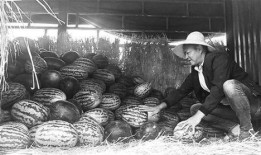 潮州吃瓜群众事件视频,一场网络舆论的风波与反思