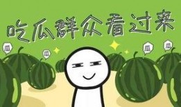 泡泡又困了视频吃瓜,揭秘吃瓜背后的趣味与真相