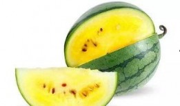 金手瓜好吃吗怎么吃视频