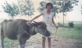 回家放牛吃瓜图片搞笑视频,欢乐搞笑视频回顾