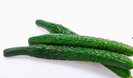 吃小瓜长肉快不快呢视频,吃小瓜真的会长肉吗？揭秘瓜类食物的增肥真相