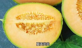 姐姐吃冰冻哈密瓜视频播放,姐姐哈密瓜视频引网友热议