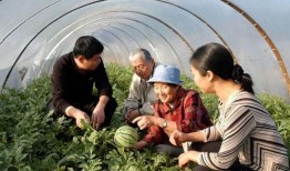 中国人在家中吃瓜视频,揭秘网络短视频中的生活百态