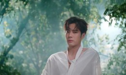 吃瓜事件王嘉尔视频完整版,揭秘背后真相与争议