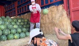 镇平四大吃瓜事件视频最新,揭秘背后真相与网友热议