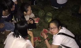 成都美院吃瓜事件视频,视频揭露校园风波背后的真相