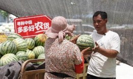 极端之家吃瓜视频,吃瓜群众视角下的真实生活片段