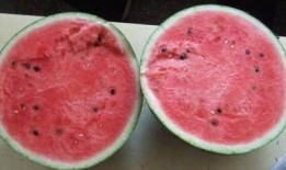 吃瓜视频1分钟,揭秘热门事件背后的真相