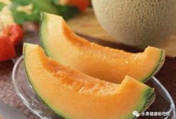 皇后喂胖橘吃哈密瓜视频,胖橘大快朵颐哈密瓜美食时光