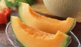 皇后喂胖橘吃哈密瓜视频,胖橘大快朵颐哈密瓜美食时光