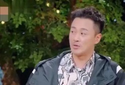 林峰综艺吃瓜事件视频完整版,揭秘完整版视频背后的真相与争议