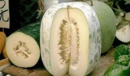 水晶瓜没有籽可以吃吗视频,轻松享用无籽美味
