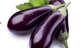 茄子吃瓜鬼畜视频下载免费,免费下载，笑料横生的网络狂欢