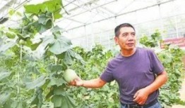 江夏吃瓜事件视频曝光了吗,真相揭晓，舆论热议