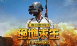 吃鸡吃瓜博主视频下载,视频下载背后的精彩瞬间