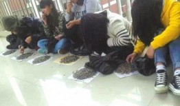 湘潭卫校老师吃瓜视频,校园生活瞬间曝光