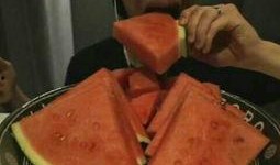 冷门吃瓜哥全部视频大全,揭秘娱乐圈不为人知的幕后故事