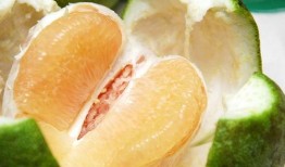 景区吃蜜瓜的女生视频,景区女生吃瓜视频走红