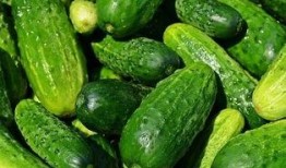 吃瓜视频名字大全可爱,盘点那些可爱到爆的吃瓜视频名字