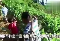凉亭意外吃瓜视频完整版,完整版视频揭秘惊人真相