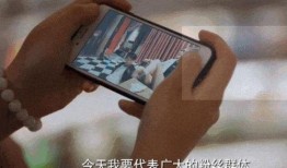 吃瓜群众的拐杖视频大全,趣味横生的日常瞬间集锦