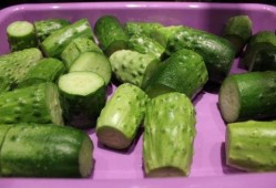 荣成吃瓜视频,揭秘当地特色美食背后的故事