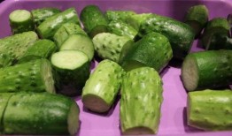 荣成吃瓜视频,揭秘当地特色美食背后的故事