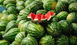 永济娃的吃瓜视频,揭秘幕后真相，带你领略网络红人魅力