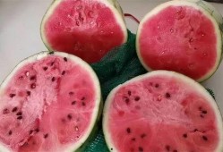 峰哥吃麒麟瓜视频大全,视频大全揭秘夏日美味之旅