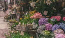 花店吃瓜视频大全最新,趣味横生，笑料百出！