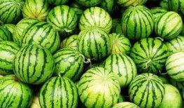 全网最火的吃瓜事件视频,全网热议！揭秘最火吃瓜事件幕后真相