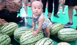 吃瓜大全视频,揭秘娱乐圈幕后故事，带你领略明星们的真实生活