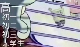 行为大赏吃瓜视频大全集,行为大赏视频大全集回顾