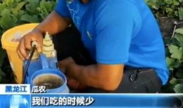 增增的吃瓜视频,揭秘娱乐圈幕后故事