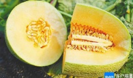 吃牛角蜜瓜视频大全集在线观看