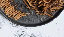 虫草瓜怎么吃效果最好视频,视频揭秘最佳食用方法