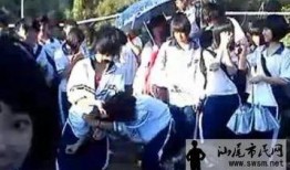 吃瓜学生围观视频大全集,吃瓜学生围观视频大全集精彩瞬间回顾