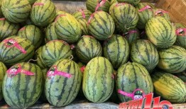 晋江网红吃瓜视频大全集,揭秘网络红人幕后故事