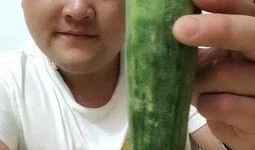 瓜哥吃货视频大全集在线观看,一场味蕾的盛宴之旅